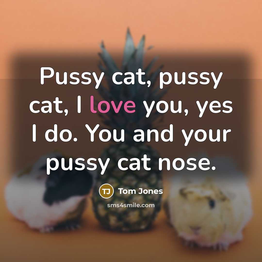 “Pussy cat, pussy cat, I love you, yes I do.…” quote by Tom Jones