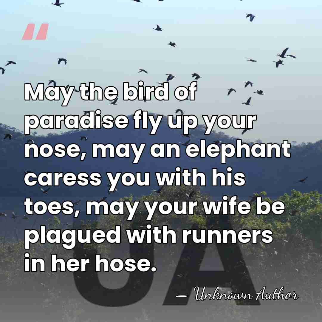 May the bird of paradise fly up your nose, may an elephant&hellip; - 'Little' Jimmy Dickens