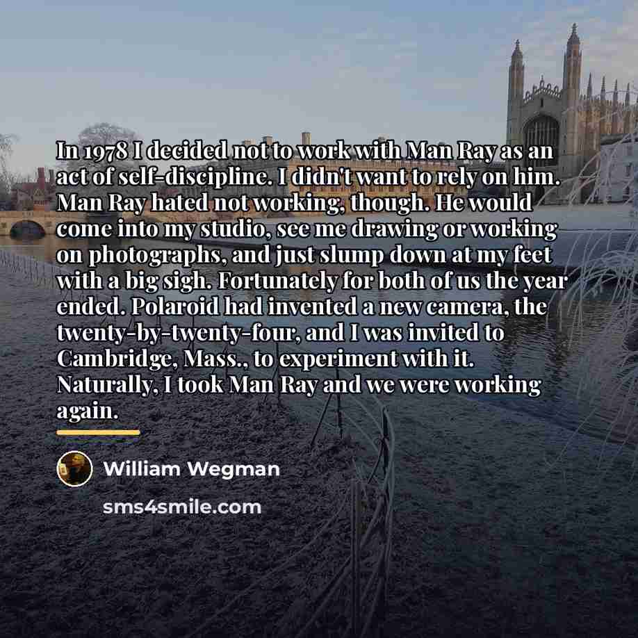 “In 1978 I decided not to work with Man Ray…” quote by William Wegman
