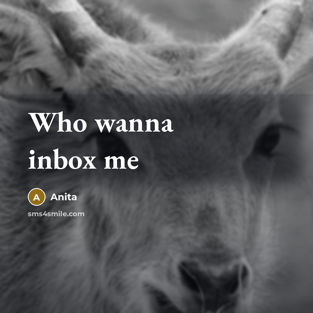 “Who wanna inbox me” quote by Anita