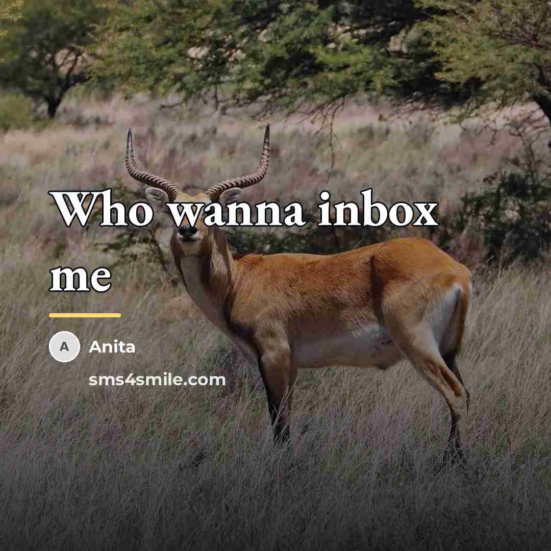 “Who wanna inbox me…” quote by Anita