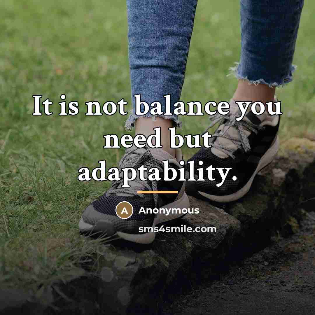 “It is not balance you need but adaptability.…” quote by Anonymous
