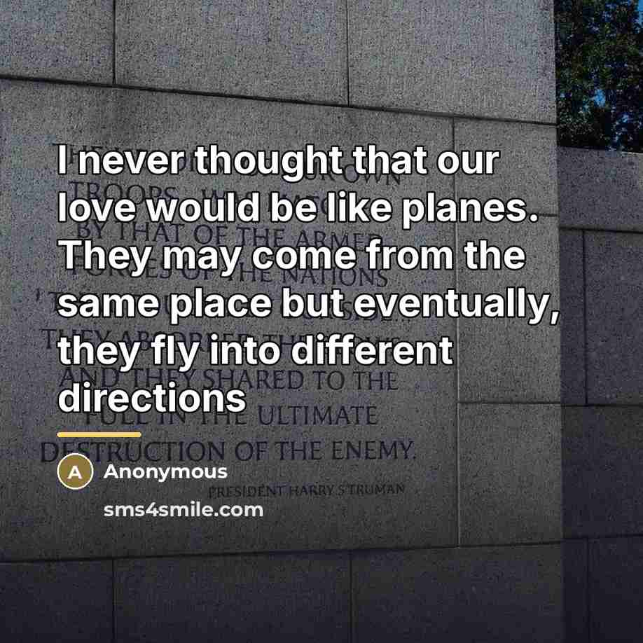 “I never thought that our love would be like planes.…” quote by Anonymous