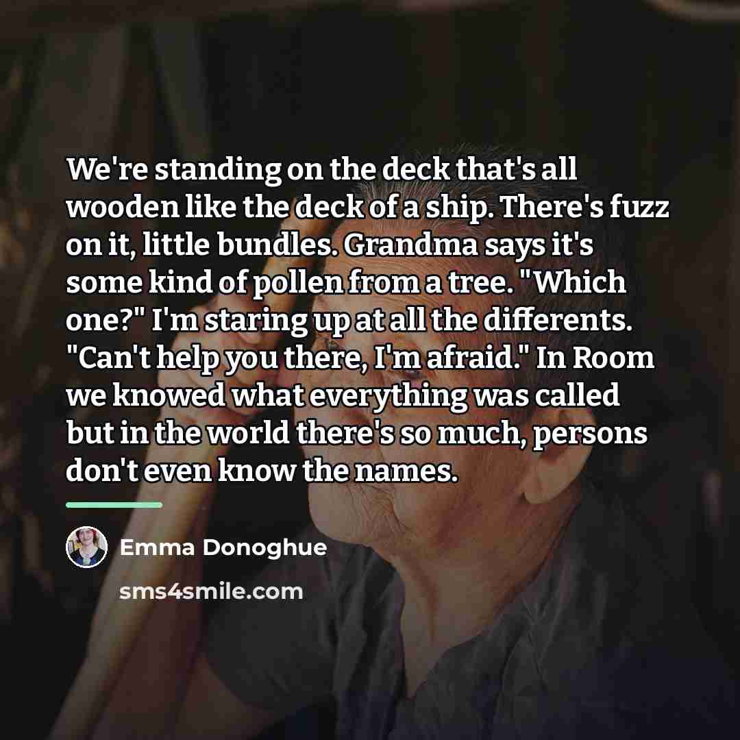 “We're standing on the deck that's all wooden like the…” quote by Emma Donoghue