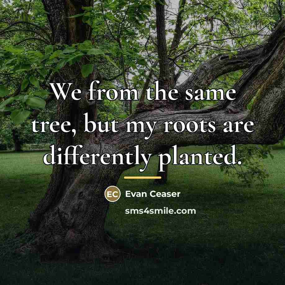 “We from the same tree, but my roots are differently…” quote by Evan Ceaser