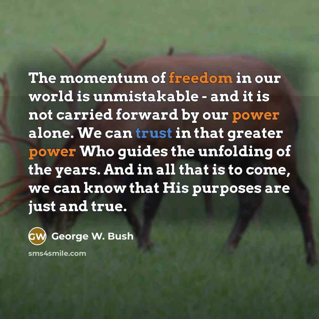 “The momentum of freedom in our world is unmistakable -…” quote by George W. Bush