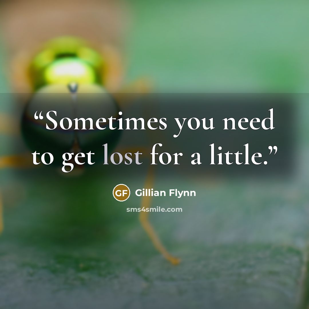 “Sometimes you need to get lost for a little.” quote by Gillian Flynn