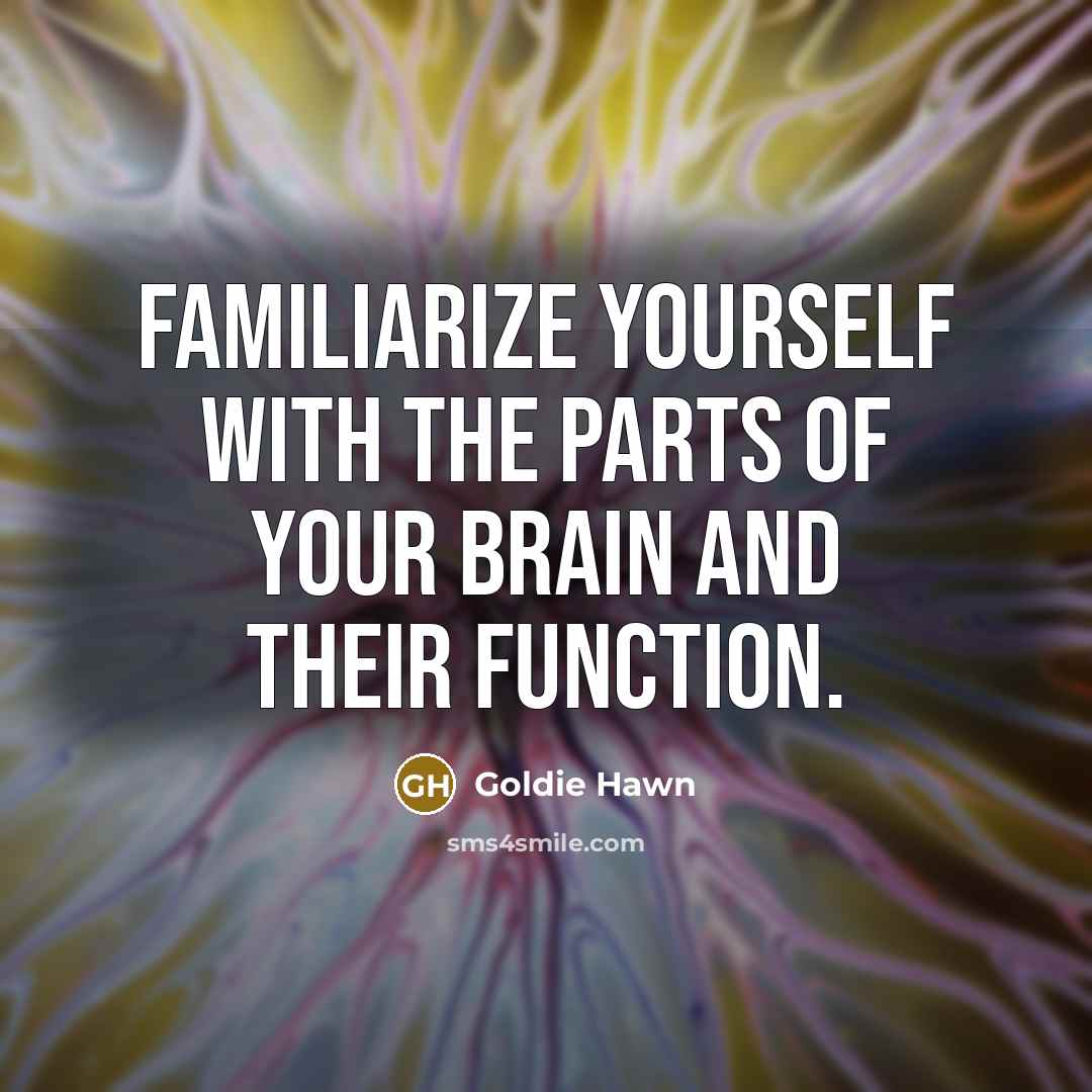 “Familiarize yourself with the parts of your brain and their…” quote by Goldie Hawn