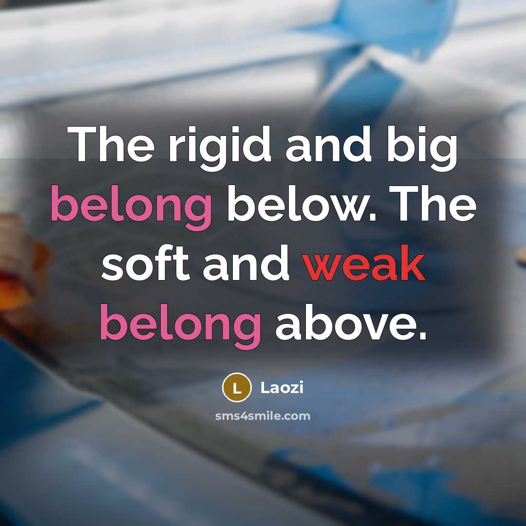 “The rigid and big belong below. The soft and weak belong above.” quote by Laozi