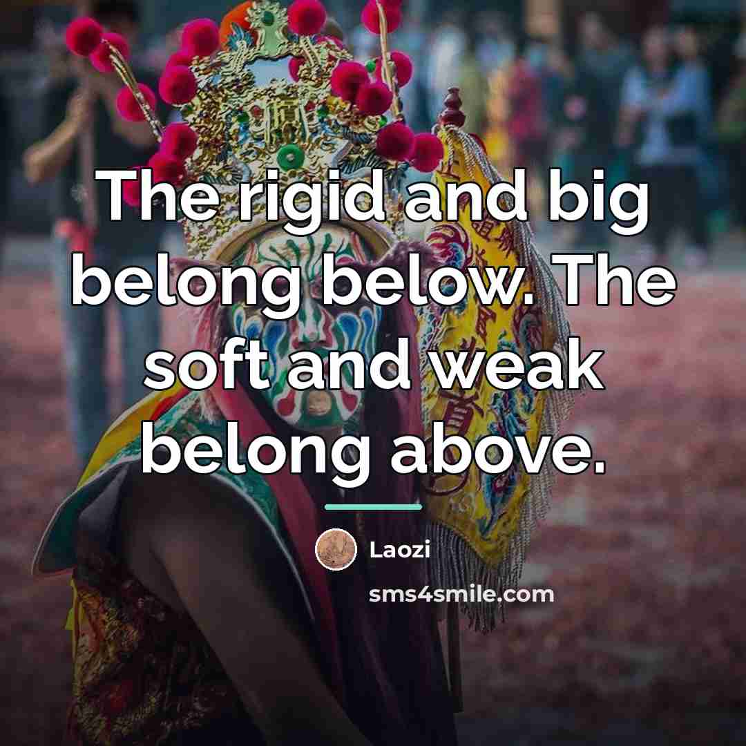 “The rigid and big belong below. The soft and weak…” quote by Laozi