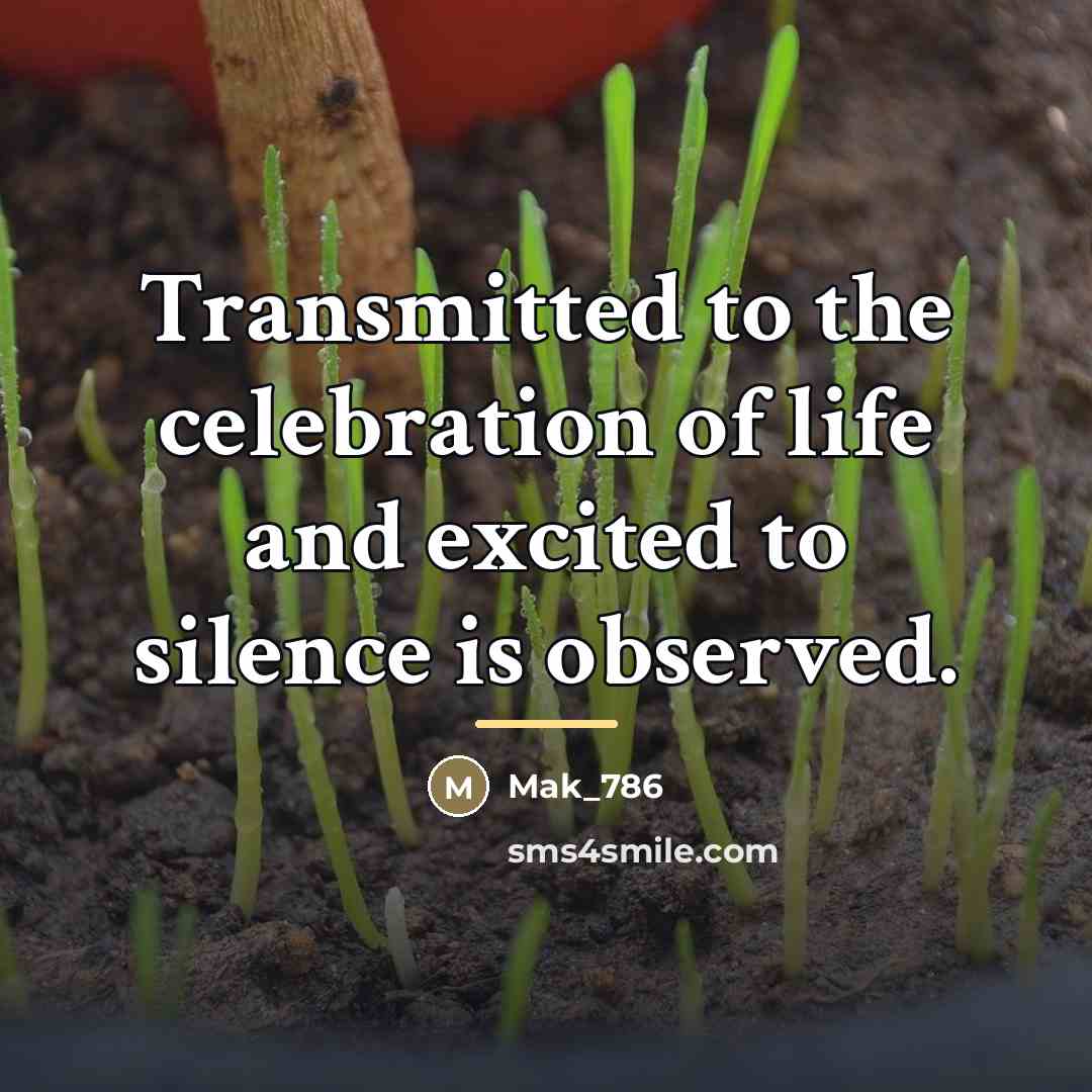 “Transmitted to the celebration of life and excited to silence…” quote by Mak_786