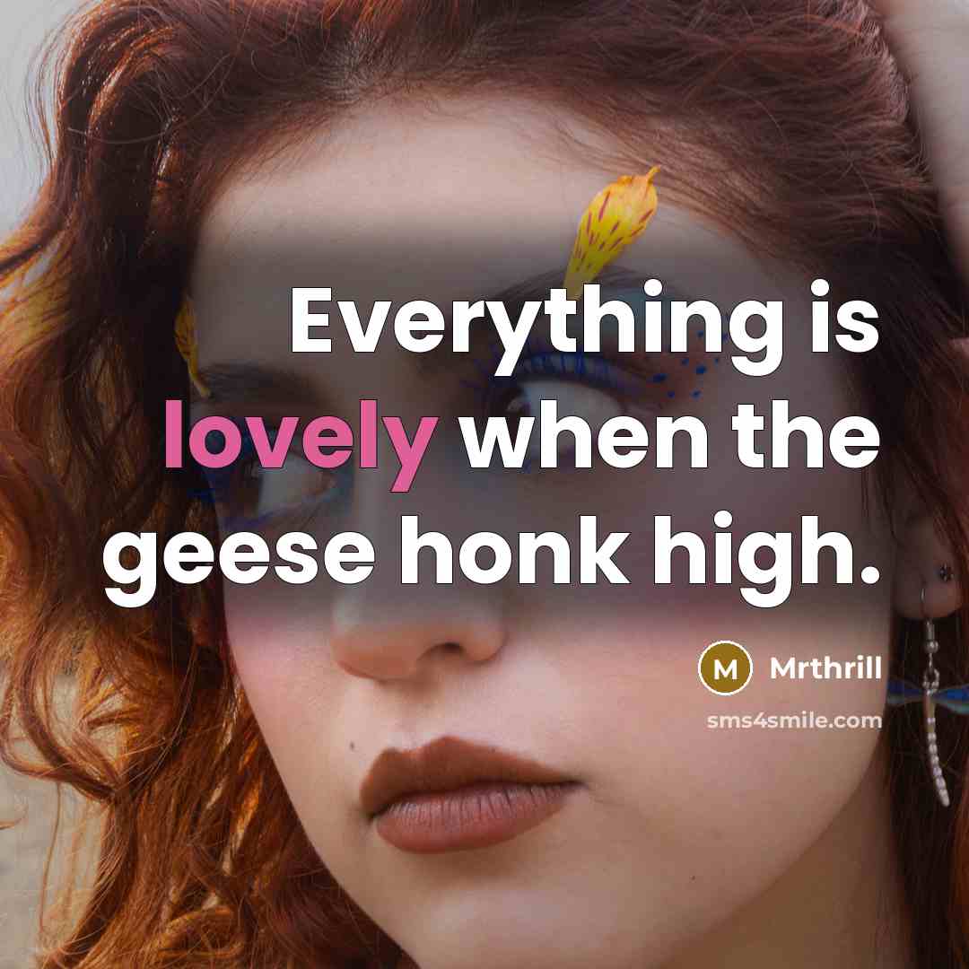 “Everything is lovely when the geese honk high.…” quote by Mrthrill