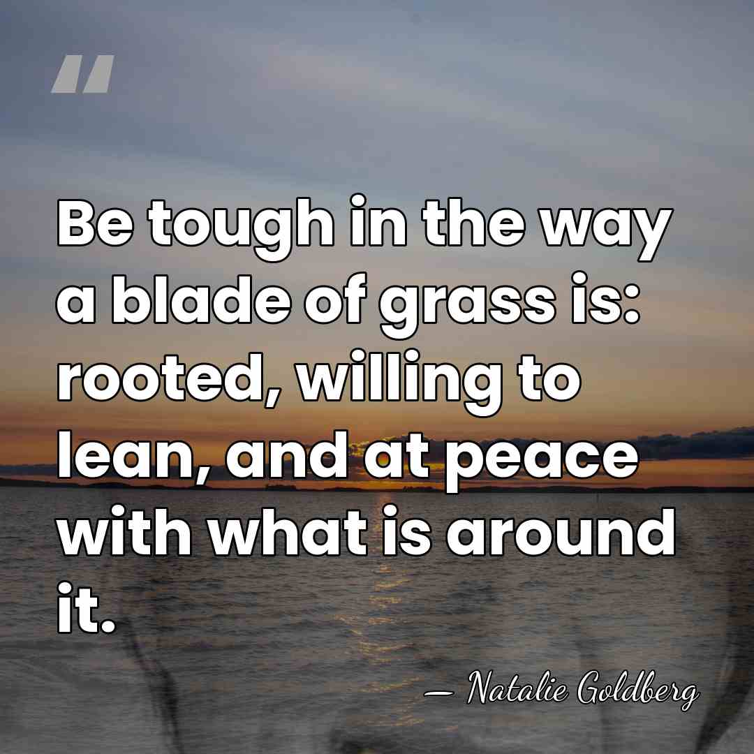 Be tough in the way a blade of grass is: rooted, willing&hellip; - Natalie Goldberg