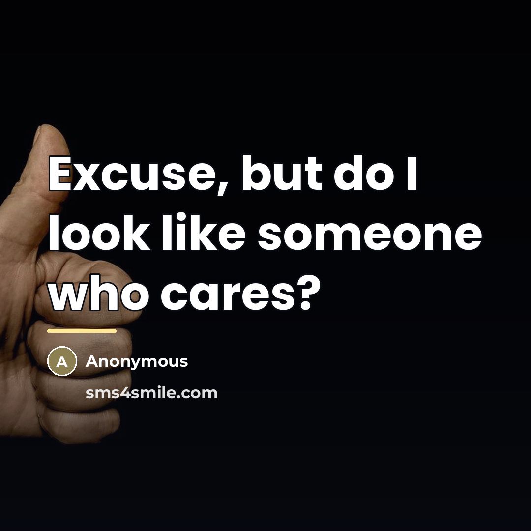 “Excuse, but do I look like someone who cares?…” quote by Anonymous