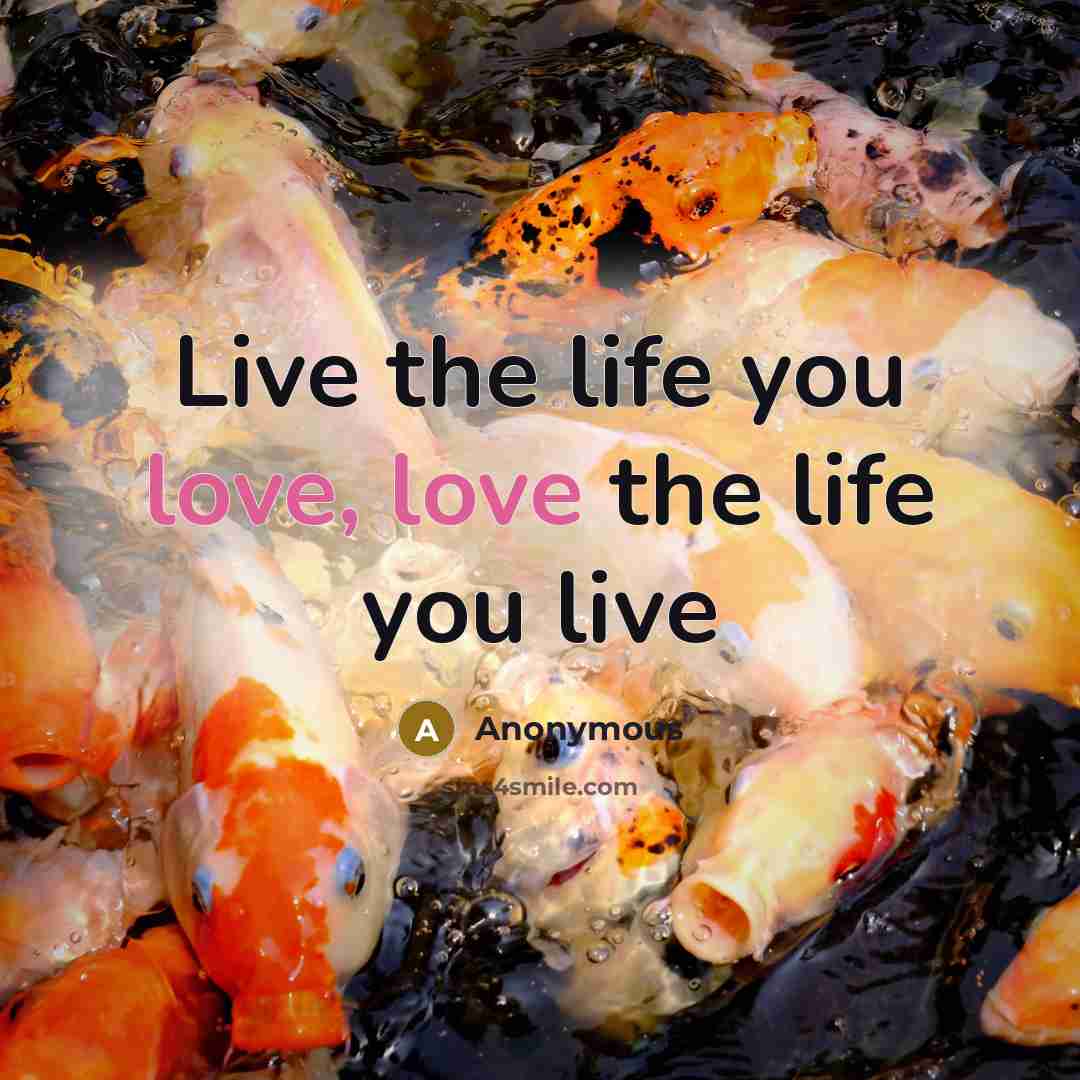 “Live the life you love, love the life you live…” quote by Anonymous
