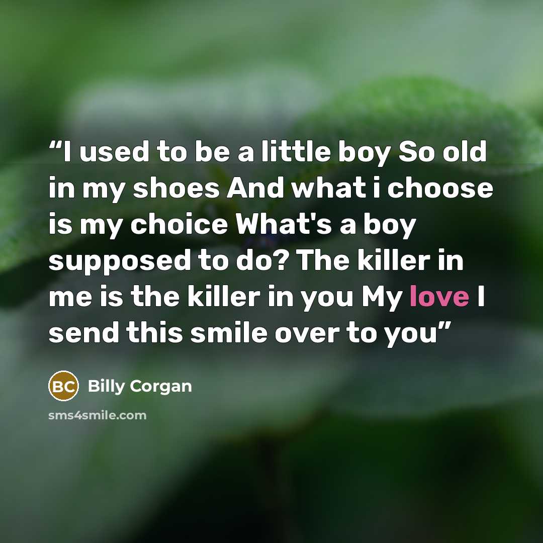 “I used to be a little boy So old in my shoes And what i choose is my choice What's a boy supposed to do? The killer in me is the killer in you My love I send this smile over to you” quote by Billy Corgan
