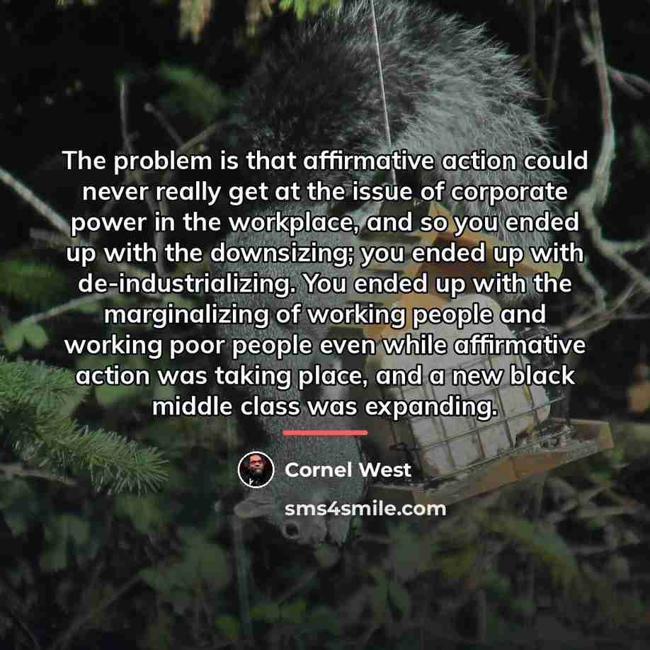 “The problem is that affirmative action could never really get…” quote by Cornel West