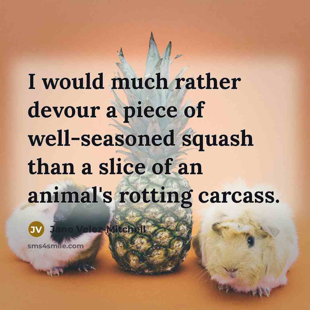 “I would much rather devour a piece of well-seasoned squash…” quote by Jane Velez-Mitchell