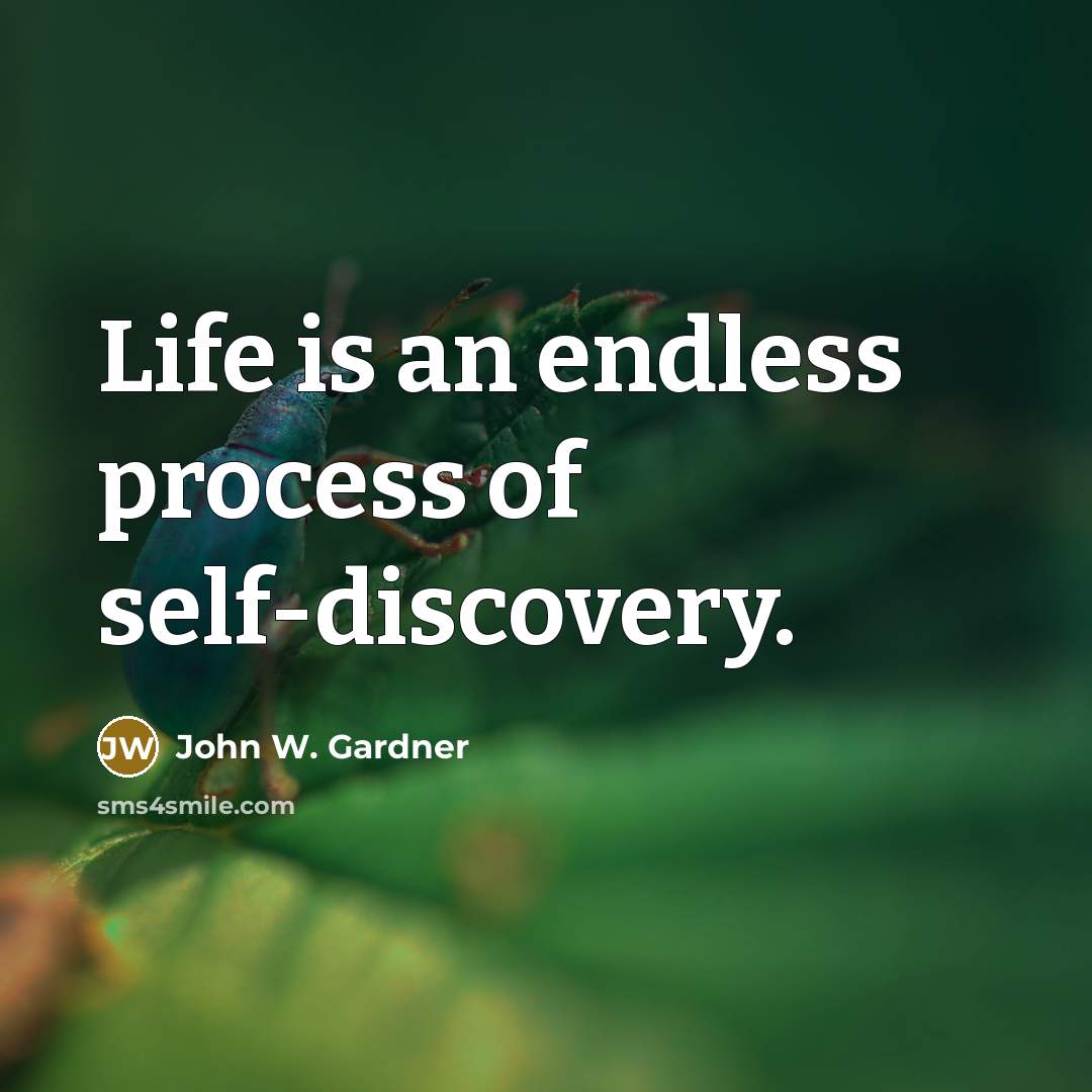 “Life is an endless process of self-discovery.…” quote by John W. Gardner