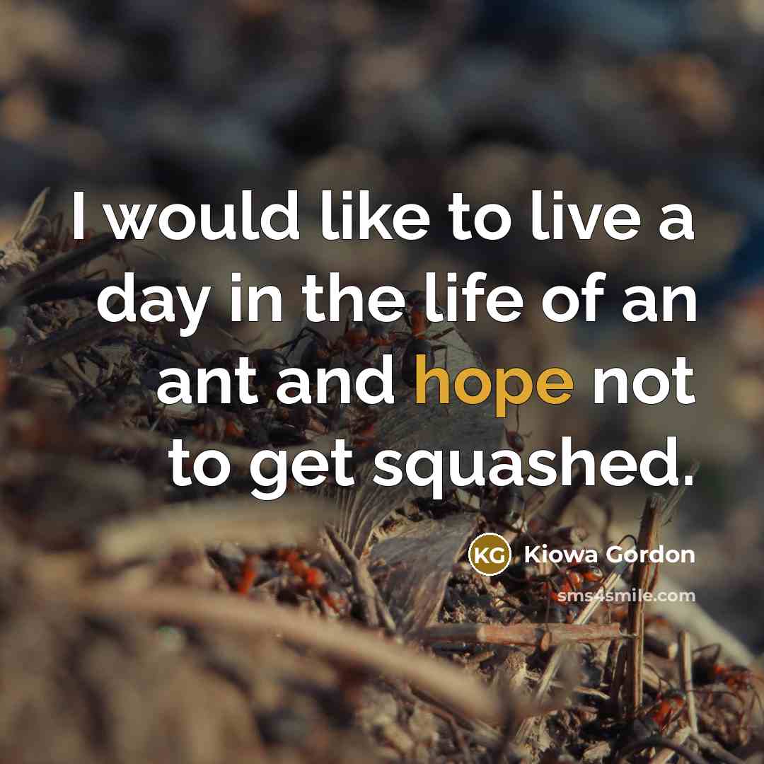 “I would like to live a day in the life…” quote by Kiowa Gordon