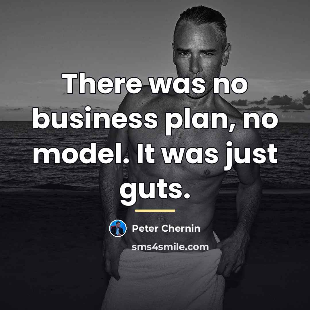“There was no business plan, no model. It was just…” quote by Peter Chernin