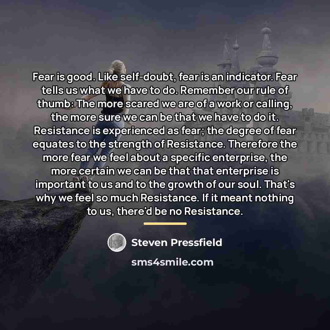 “Fear is good. Like self-doubt, fear is an indicator. Fear…” quote by Steven Pressfield