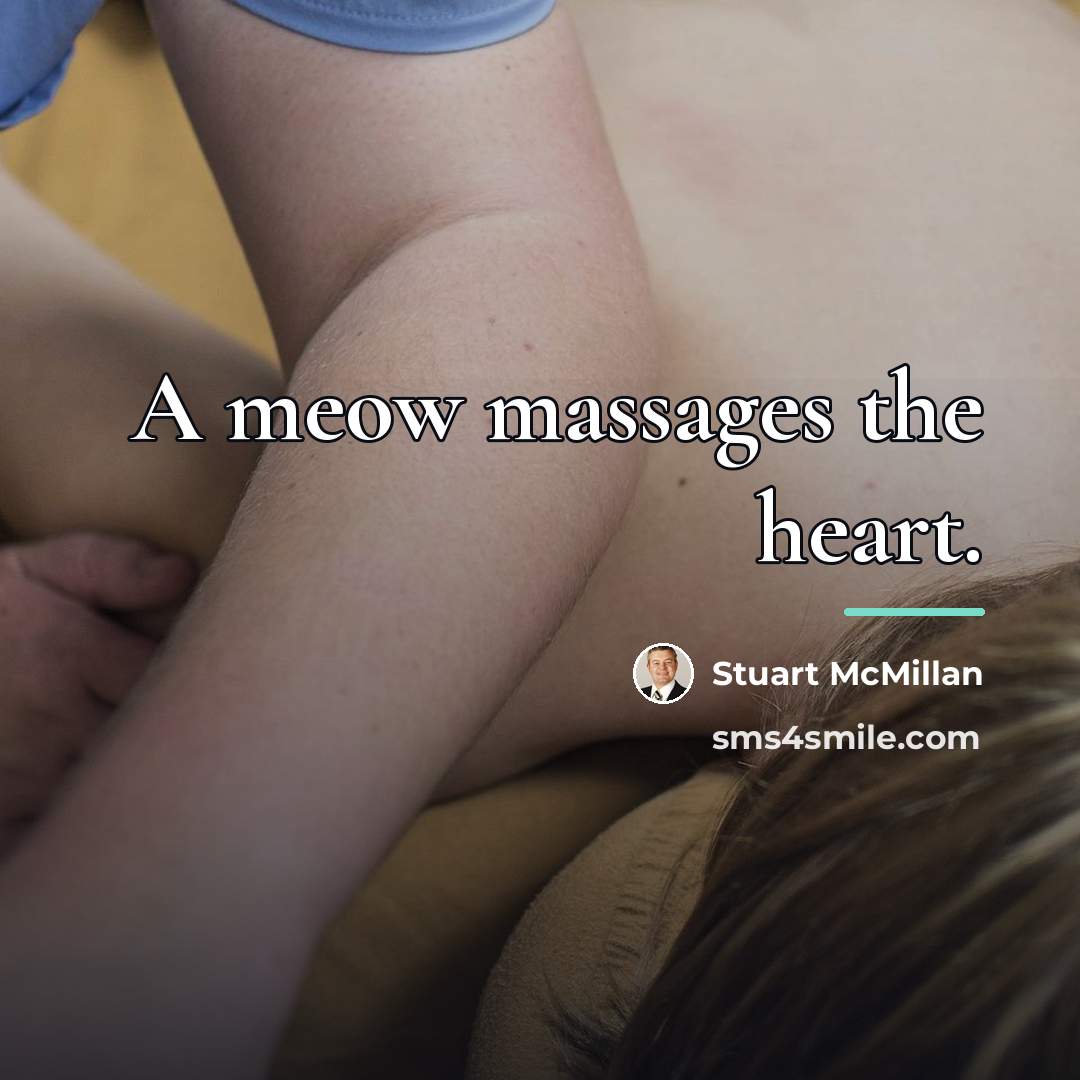 “A meow massages the heart.…” quote by Stuart McMillan