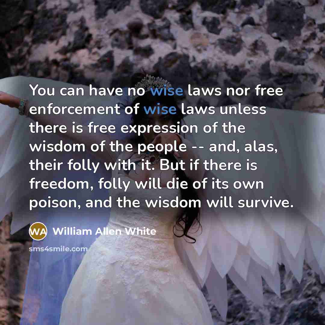 “You can have no wise laws nor free enforcement of…” quote by William Allen White