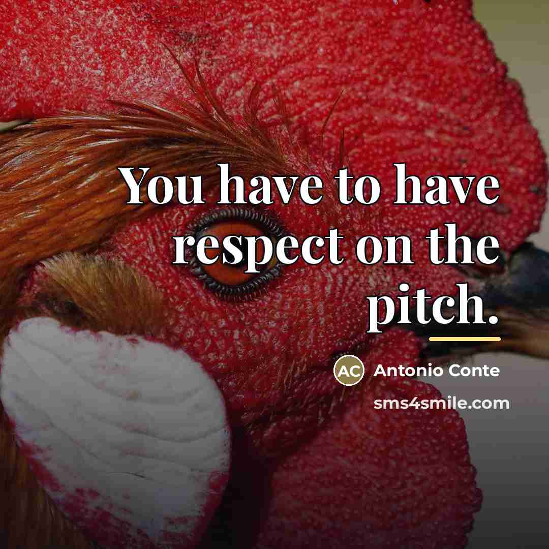 “You have to have respect on the pitch.…” quote by Antonio Conte