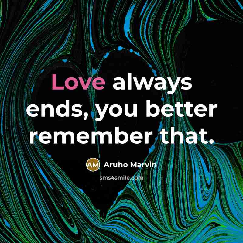 “Love always ends, you better remember that.…” quote by Aruho Marvin