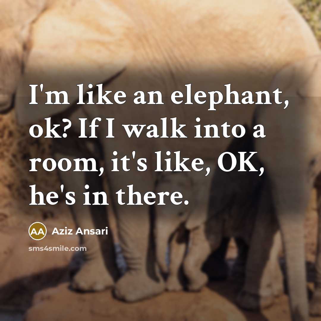 “I'm like an elephant, ok? If I walk into a…” quote by Aziz Ansari