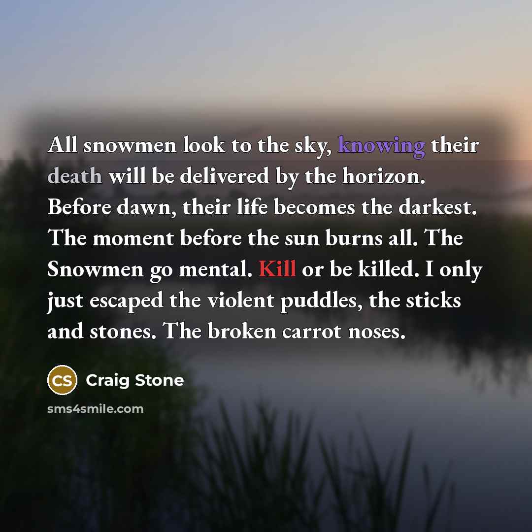 “All snowmen look to the sky, knowing their death will…” quote by Craig Stone