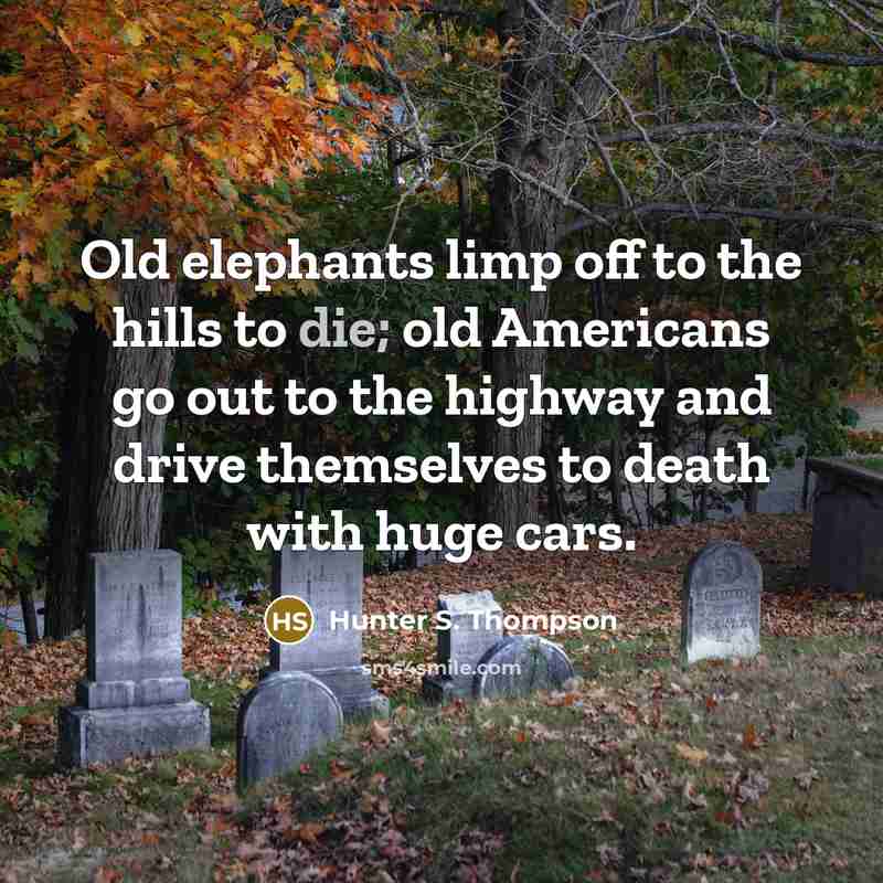 “Old elephants limp off to the hills to die; old…” quote by Hunter S. Thompson