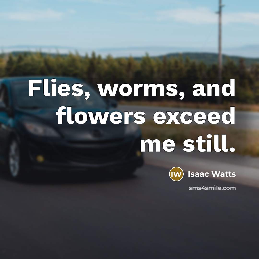 “Flies, worms, and flowers exceed me still.…” quote by Isaac Watts