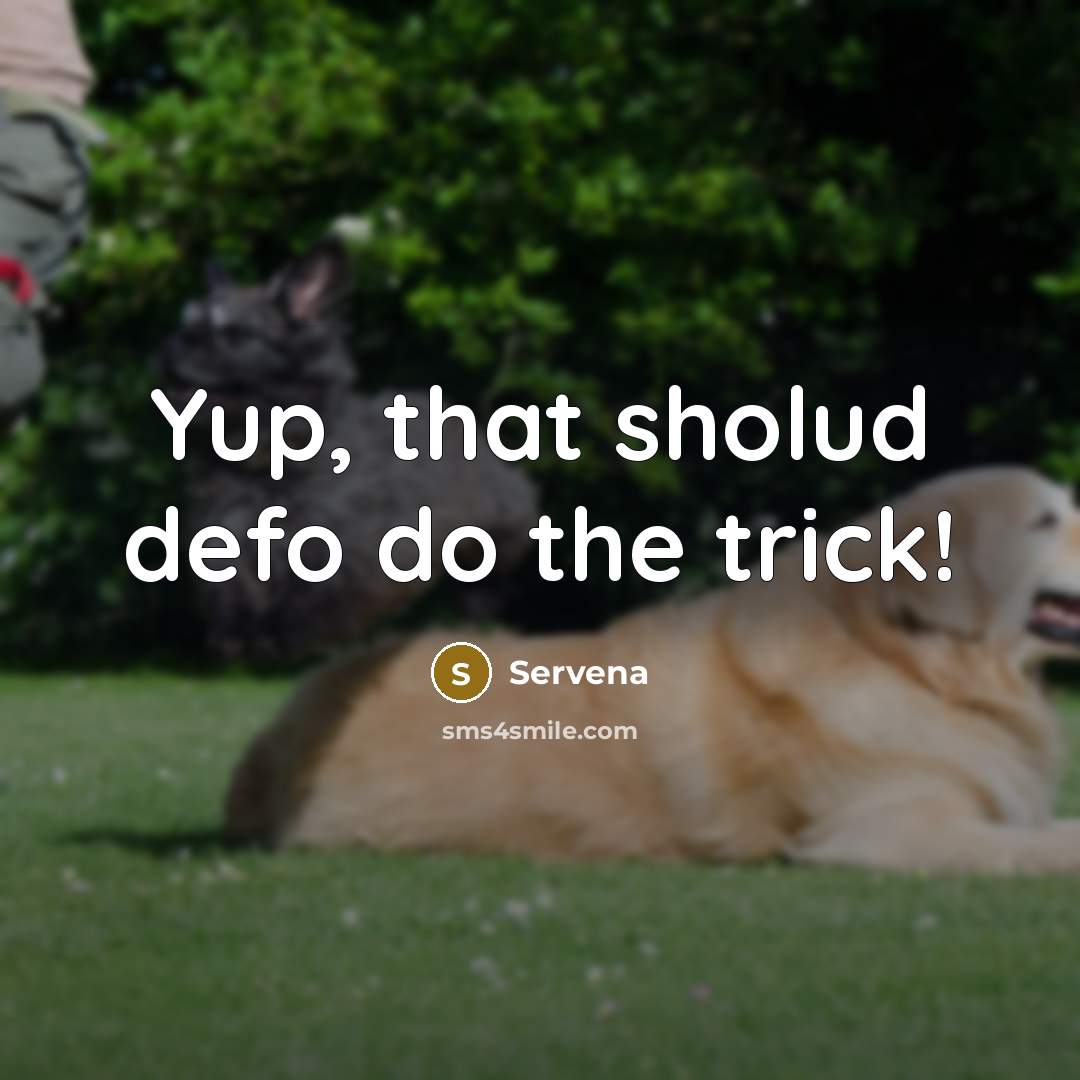 “Yup, that sholud defo do the trick!…” quote by Servena