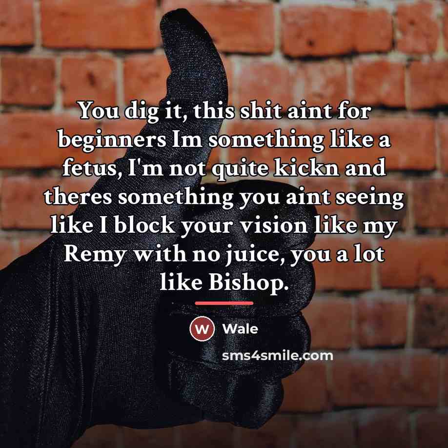 “You dig it, this shit aint for beginners Im something…” quote by Wale