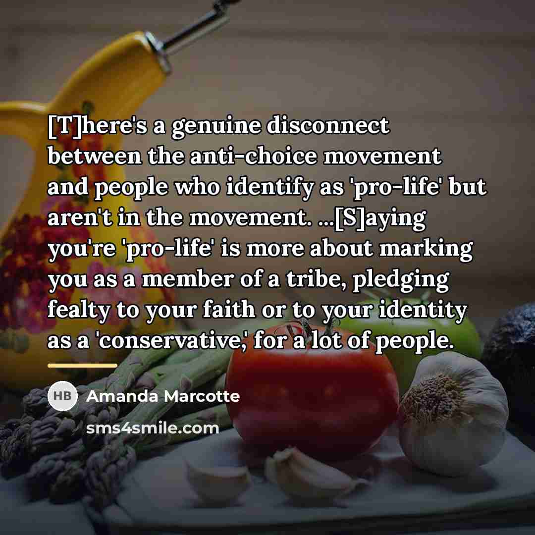 “[T]here's a genuine disconnect between the anti-choice movement and people…” quote by Amanda Marcotte