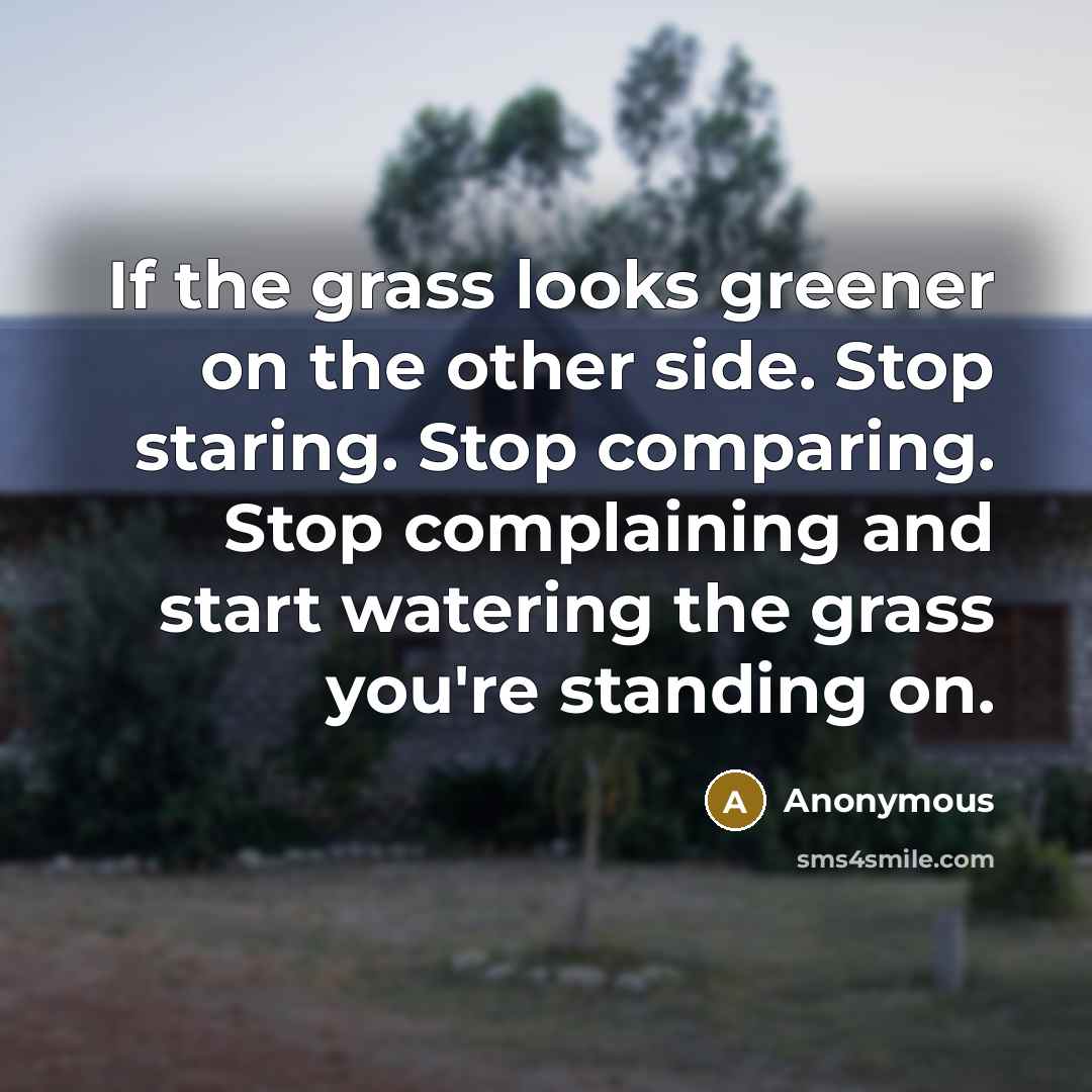 “If the grass looks greener on the other side. Stop…” quote by Anonymous