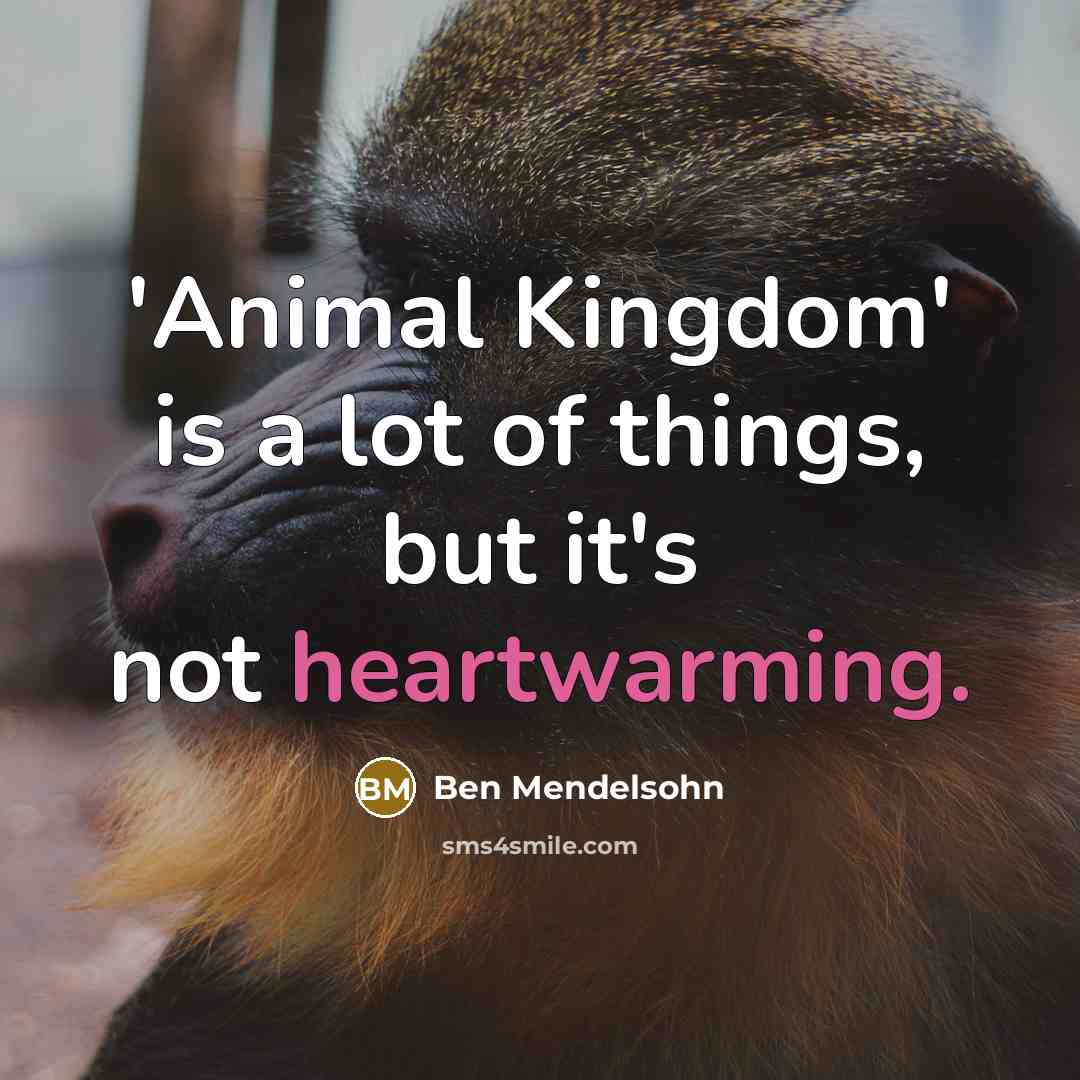 “'Animal Kingdom' is a lot of things, but it's not…” quote by Ben Mendelsohn