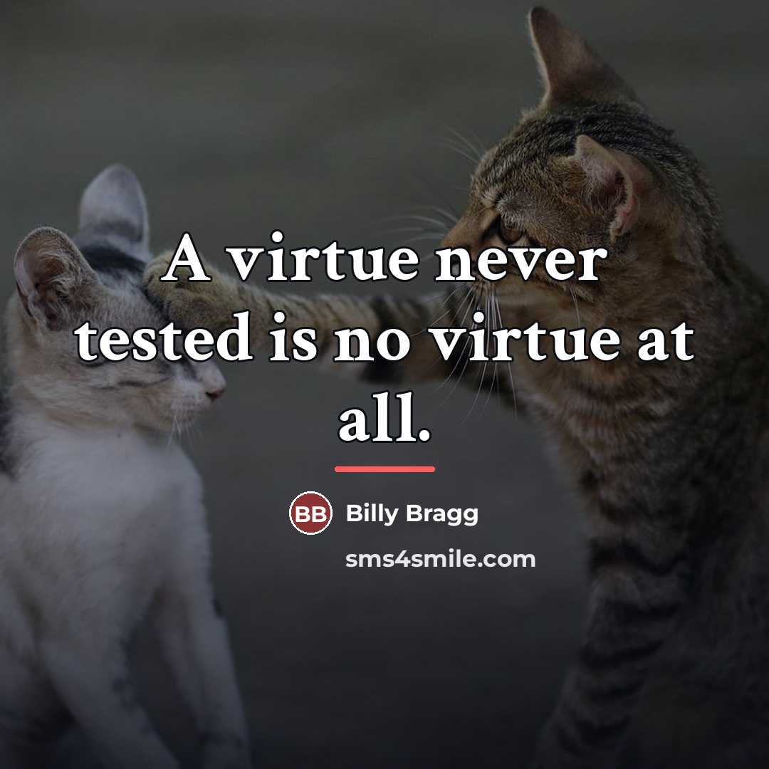 “A virtue never tested is no virtue at all.…” quote by Billy Bragg