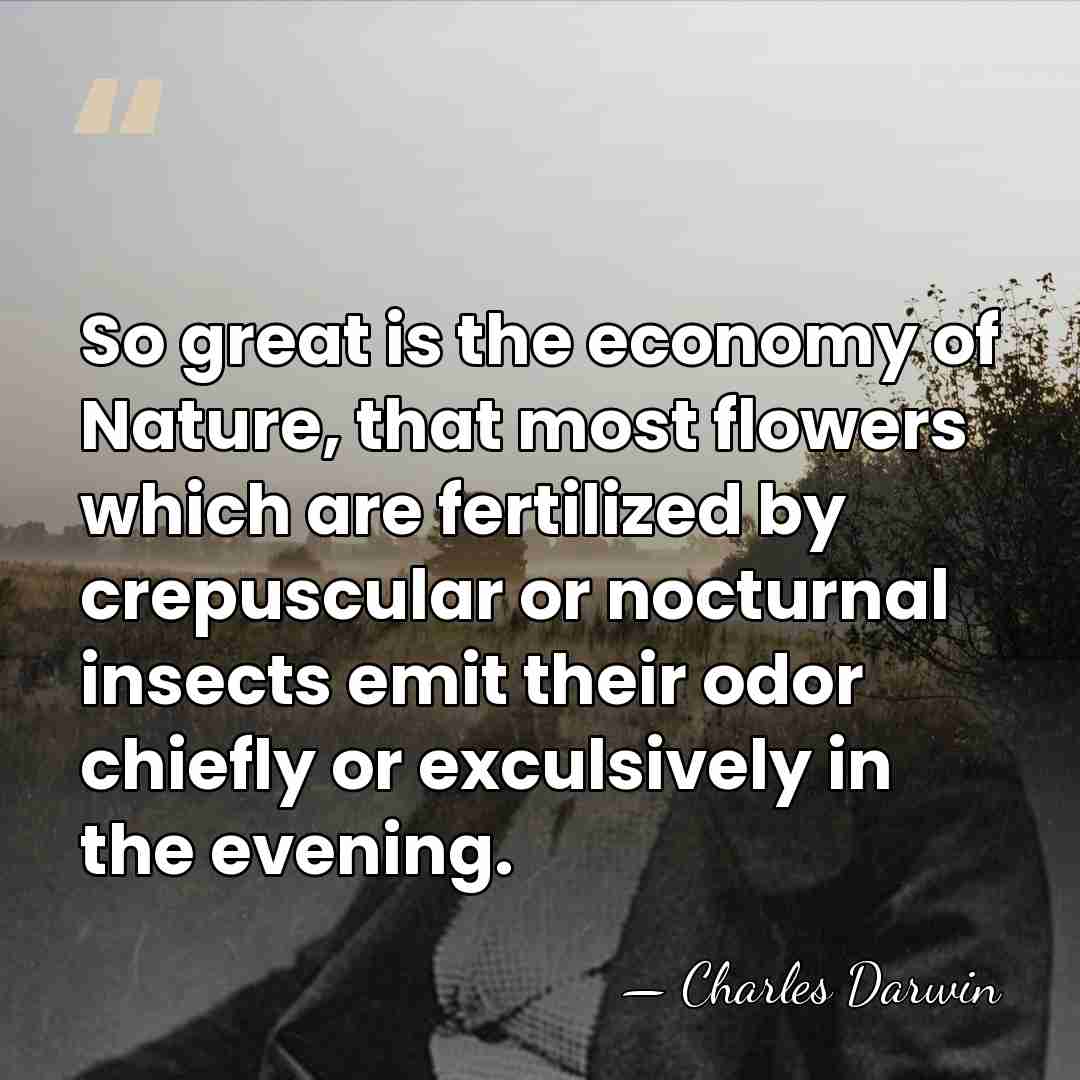 So great is the economy of Nature, that most flowers which are&hellip; - Charles Darwin