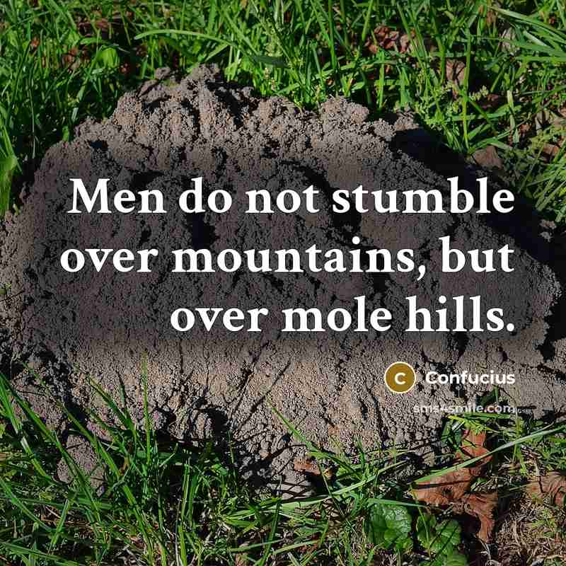 “Men do not stumble over mountains, but over mole hills.…” quote by Confucius