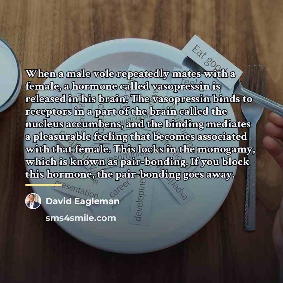 “When a male vole repeatedly mates with a female, a…” quote by David Eagleman