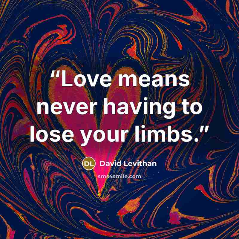 “Love means never having to lose your limbs.” quote by David Levithan