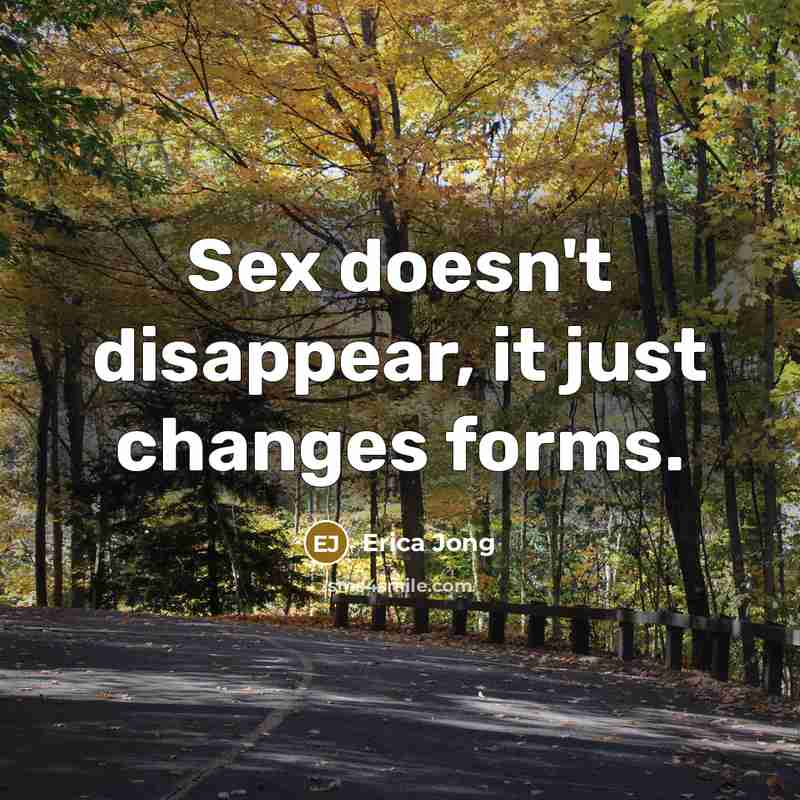 “Sex doesn't disappear, it just changes forms.” quote by Erica Jong