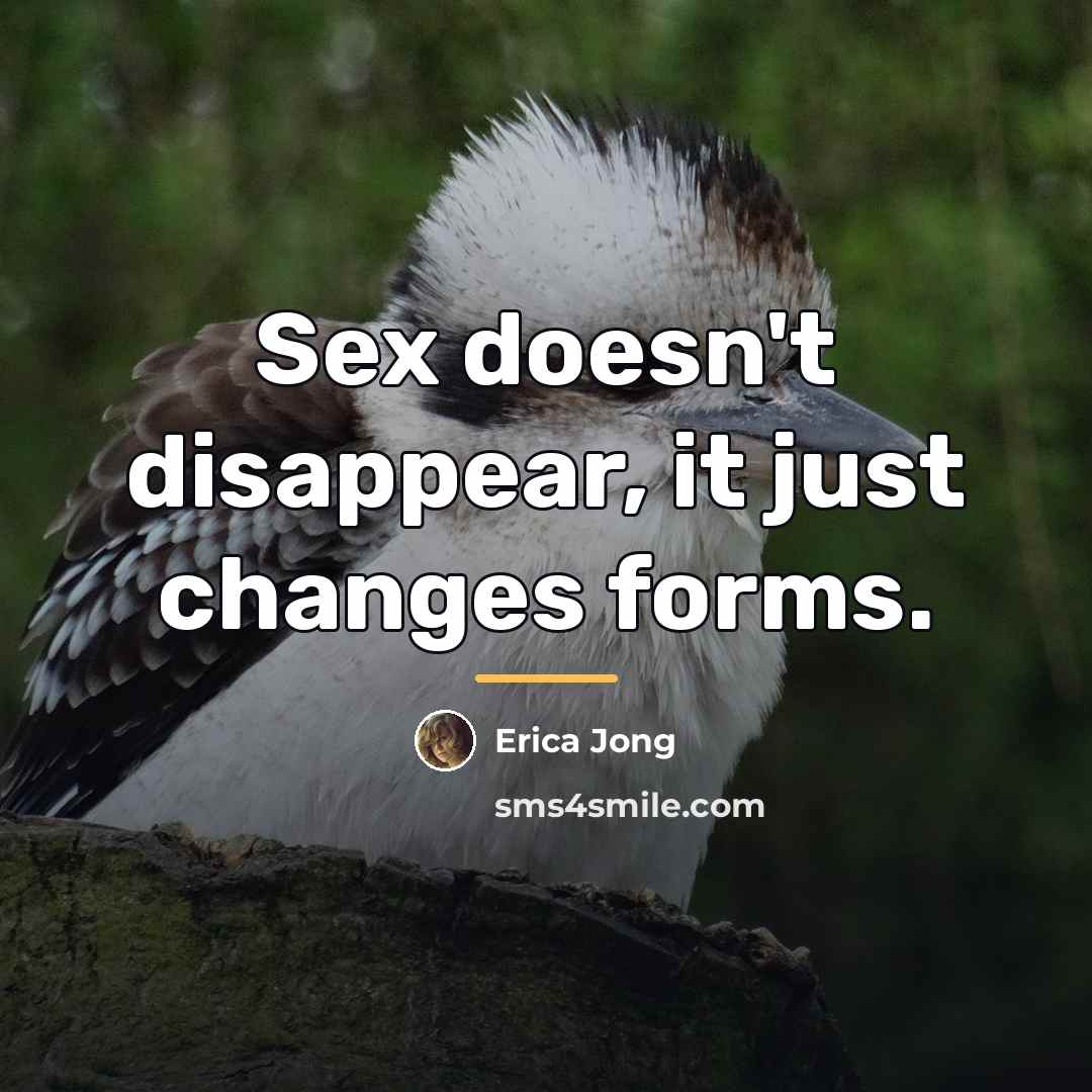 “Sex doesn't disappear, it just changes forms.…” quote by Erica Jong