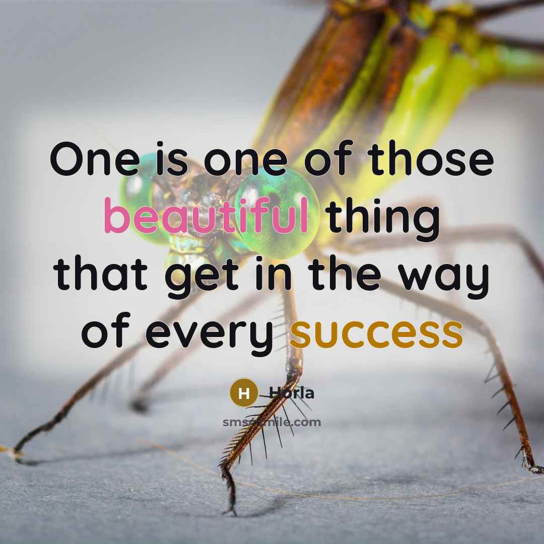 “One is one of those beautiful thing that get in…” quote by Horla