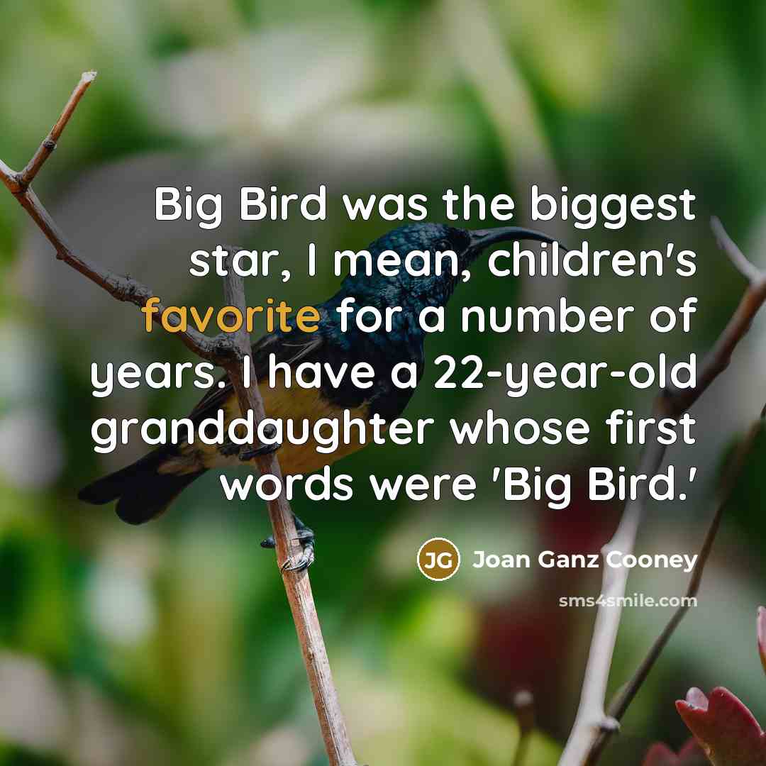 “Big Bird was the biggest star, I mean, children's favorite…” quote by Joan Ganz Cooney