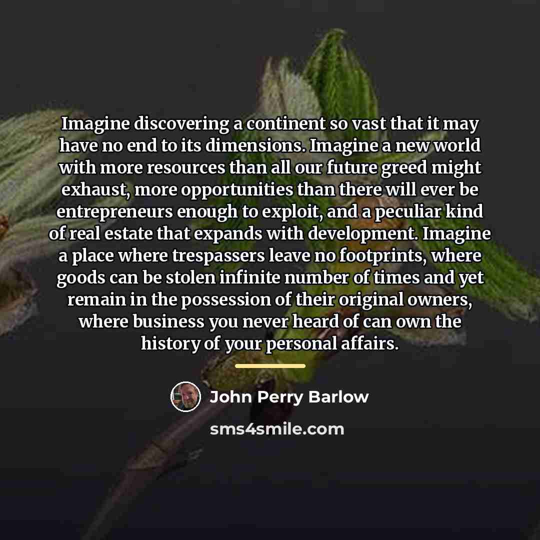 “Imagine discovering a continent so vast that it may have…” quote by John Perry Barlow