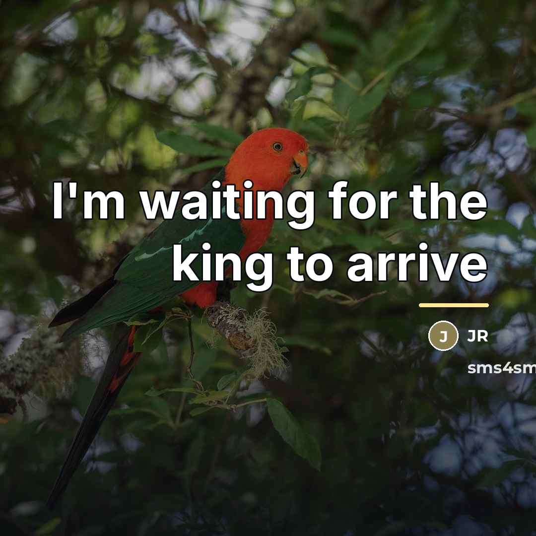 “I'm waiting for the king to arrive…” quote by JR